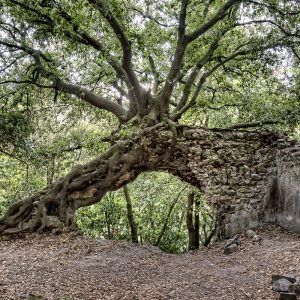 Una "città morta" alle porte di Roma