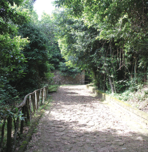 riserva naturale monte mario-Sentiero Monte Mario