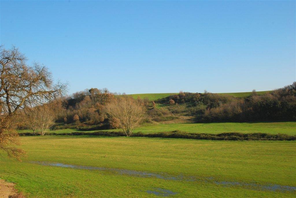 Il Sistema Biologico Frammenti di Biodiversità