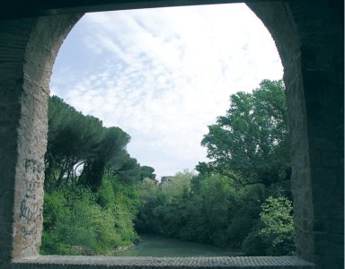 Riserva Naturale della Valle dell-Aniene-flora-fauna-3