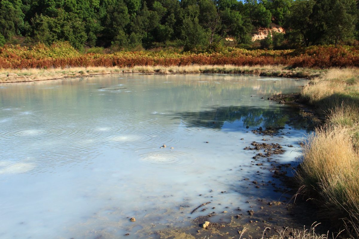 Riserva Naturale di Decima Malafede-geologia-rocce-acque-gas-4 Riserva Naturale di Decima Malafede-geologia-rocce-acque-gas-2 (1)