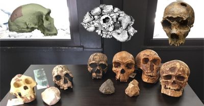 museo del pleistocene