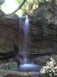 riserva-della-marcigliana-a-piedi-cascate-fosso-formicola