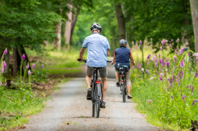 riserva-della-marcigliana-in-bici-nella-riserva-percorsi