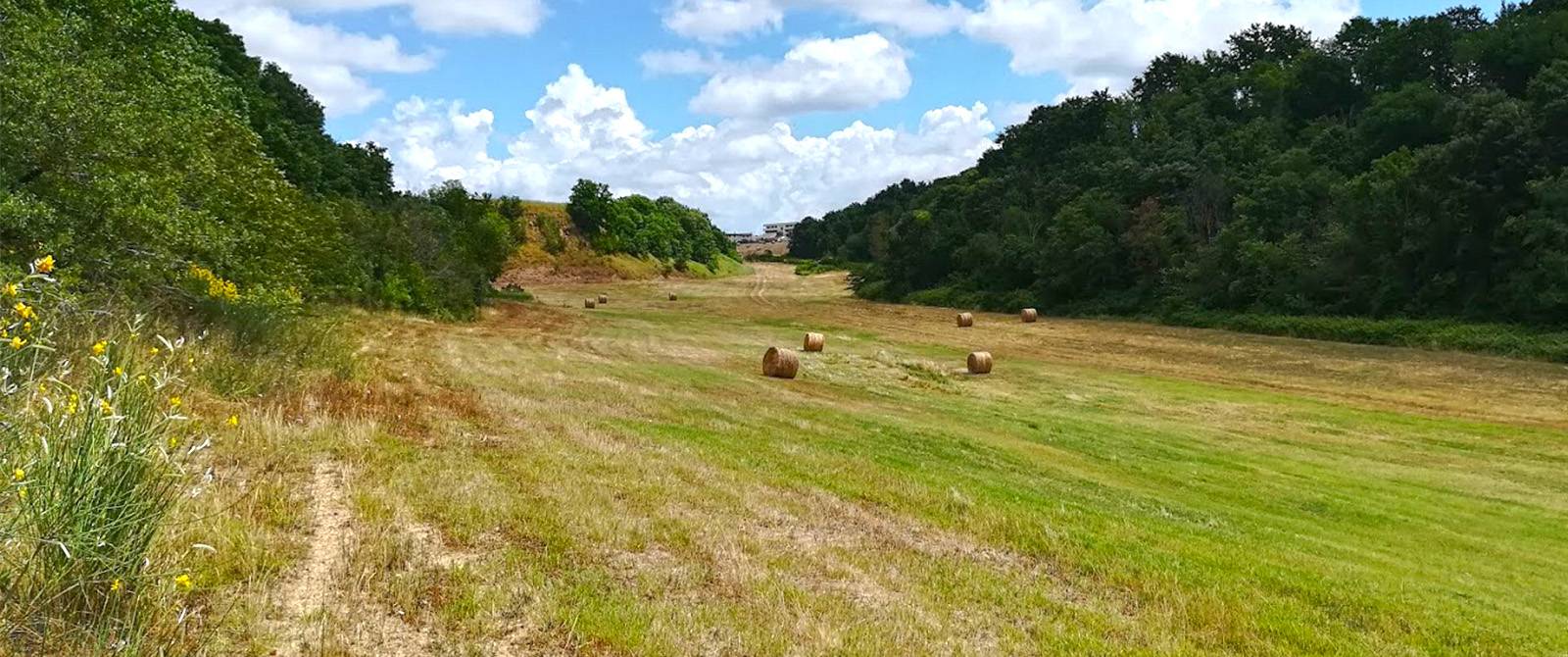 Il Sistema Biologico Frammenti di Biodiversità