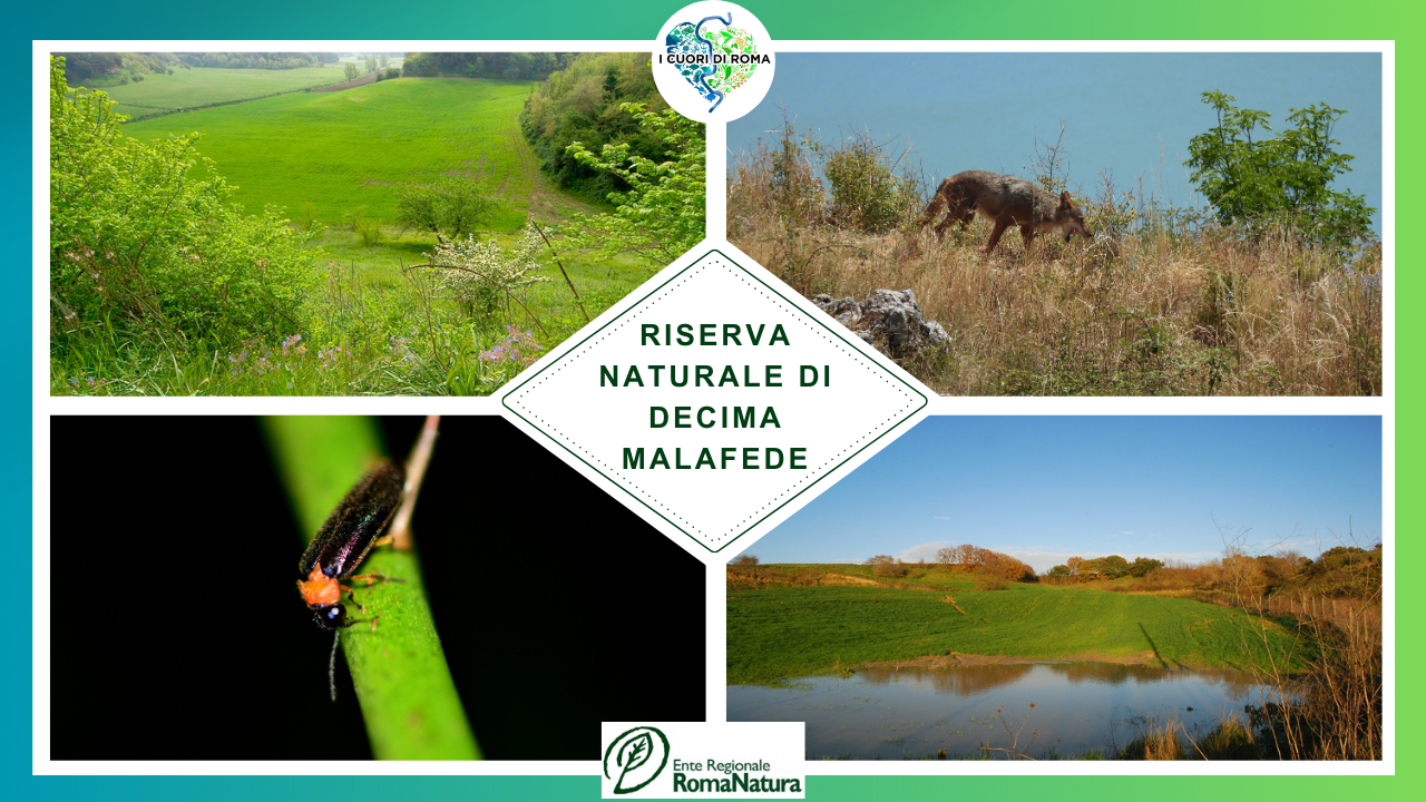 riserva naturale di decima malafede