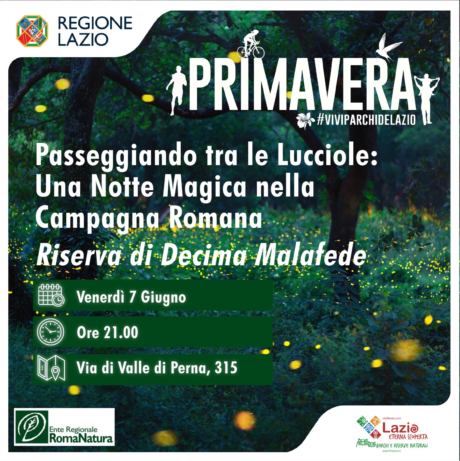 Passeggiando tra le Lucciole Una Notte Magica nella Campagna Romana
