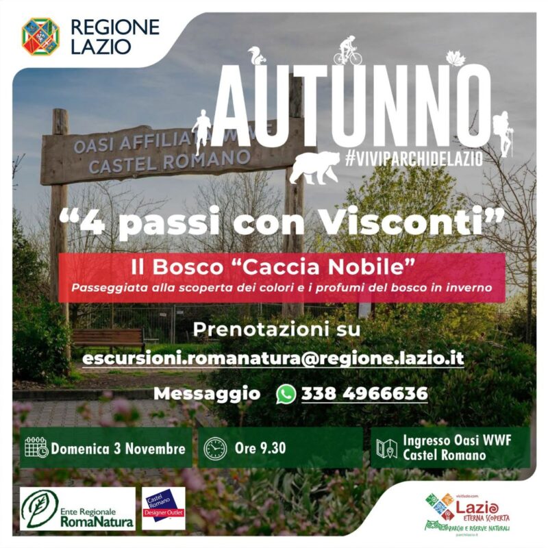 4 Passi con Visconti - Passeggiata alla scoperta dei colori e i profumi del bosco in inverno - 3 novembre 24