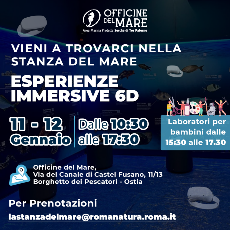 sabato-11-e-domenica-12-gennaio-2025-stanza-del-mare-esperienza-immersiva-6d