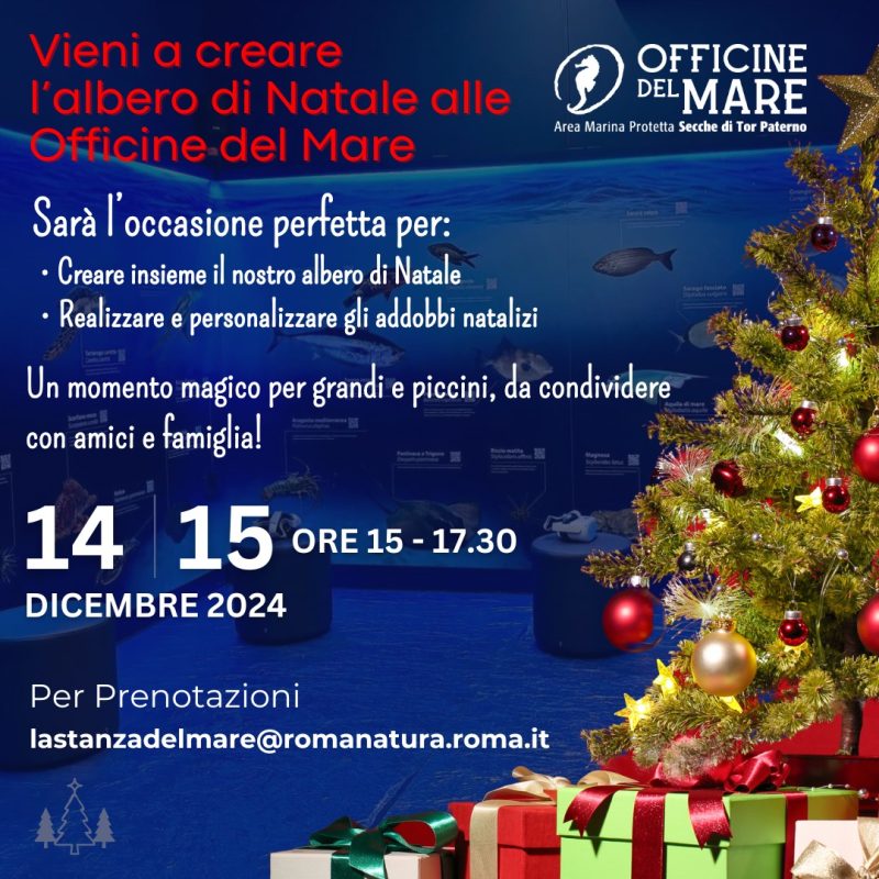 albero-di-natale-officine-del-mare