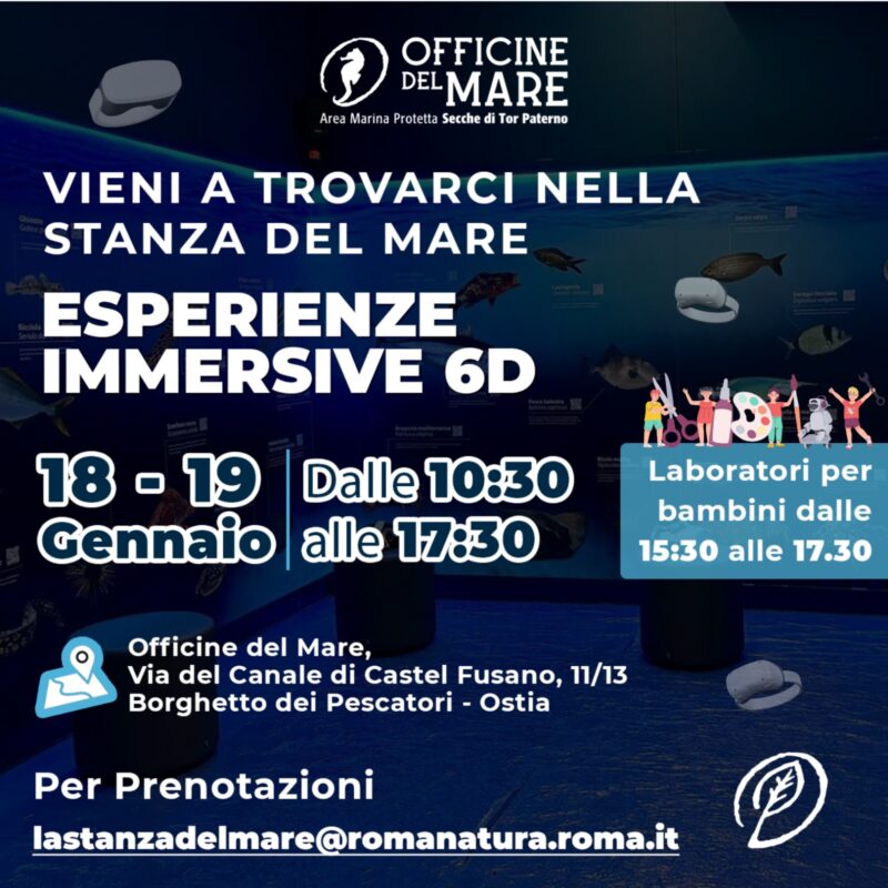 La Stanza del Mare - Sabato 18 e domenica 19 gennaio 2025 - Visite Virtuali