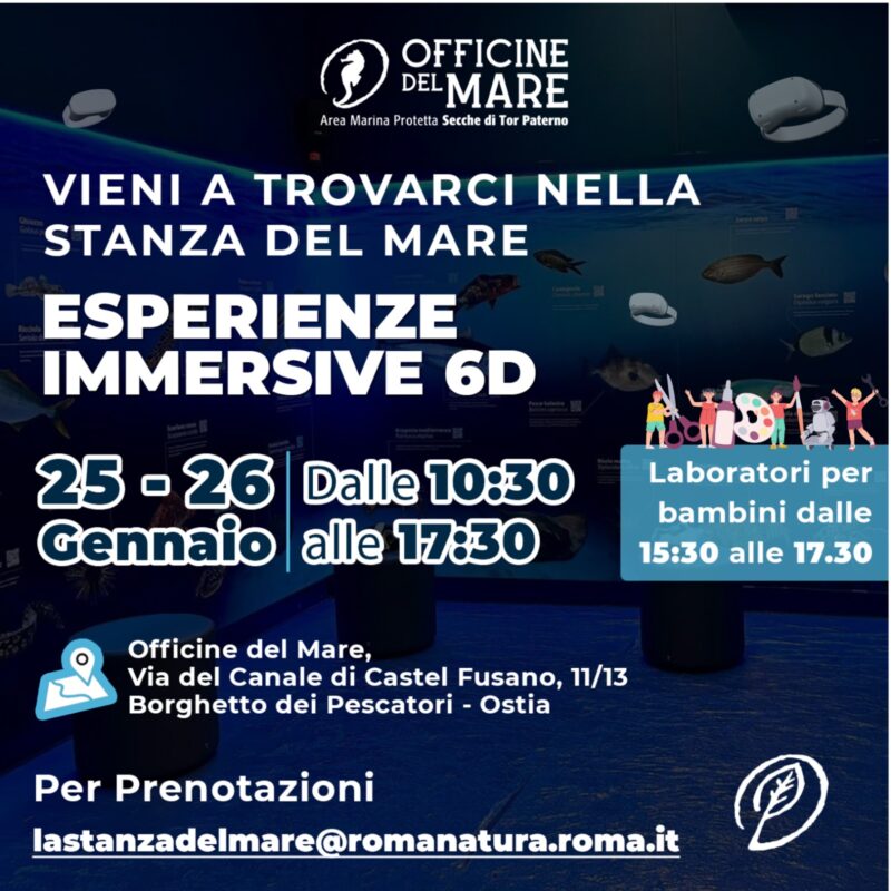 La Stanza del Mare - Sabato 25 e domenica 26 gennaio 2025