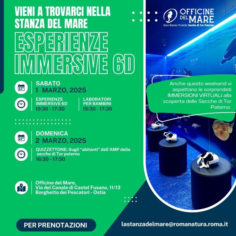 Visite Stanza del Mare 1 e 2 Marzo