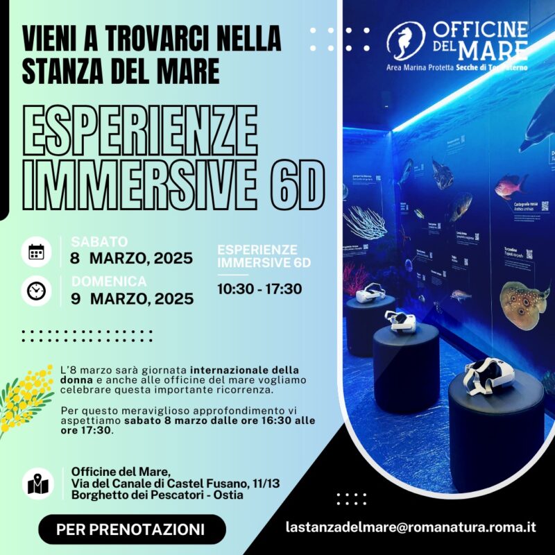 La-Stanza-del-Mare-Sabato-8-e-domenica-9-marzo-2025