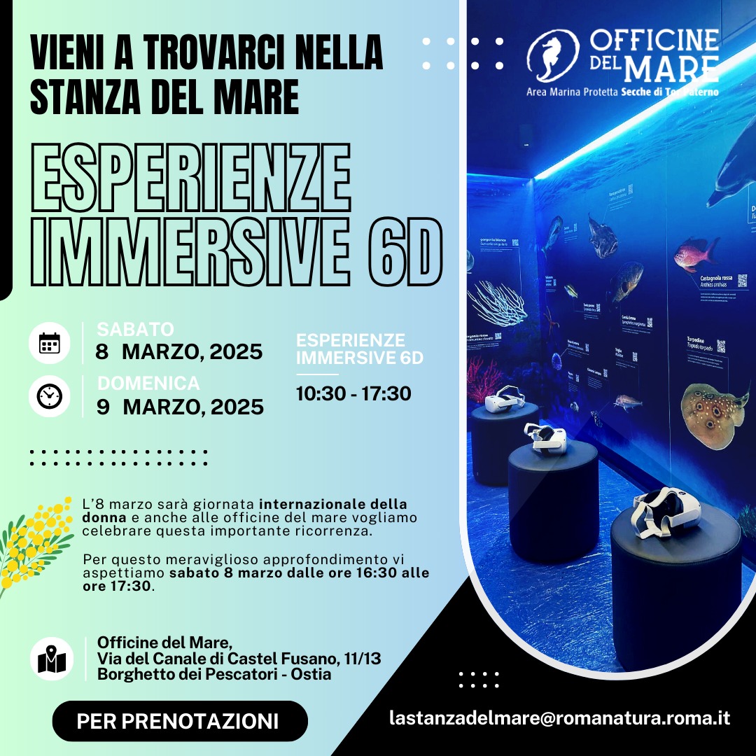La-Stanza-del-Mare-Sabato-8-e-domenica-9-marzo-2025