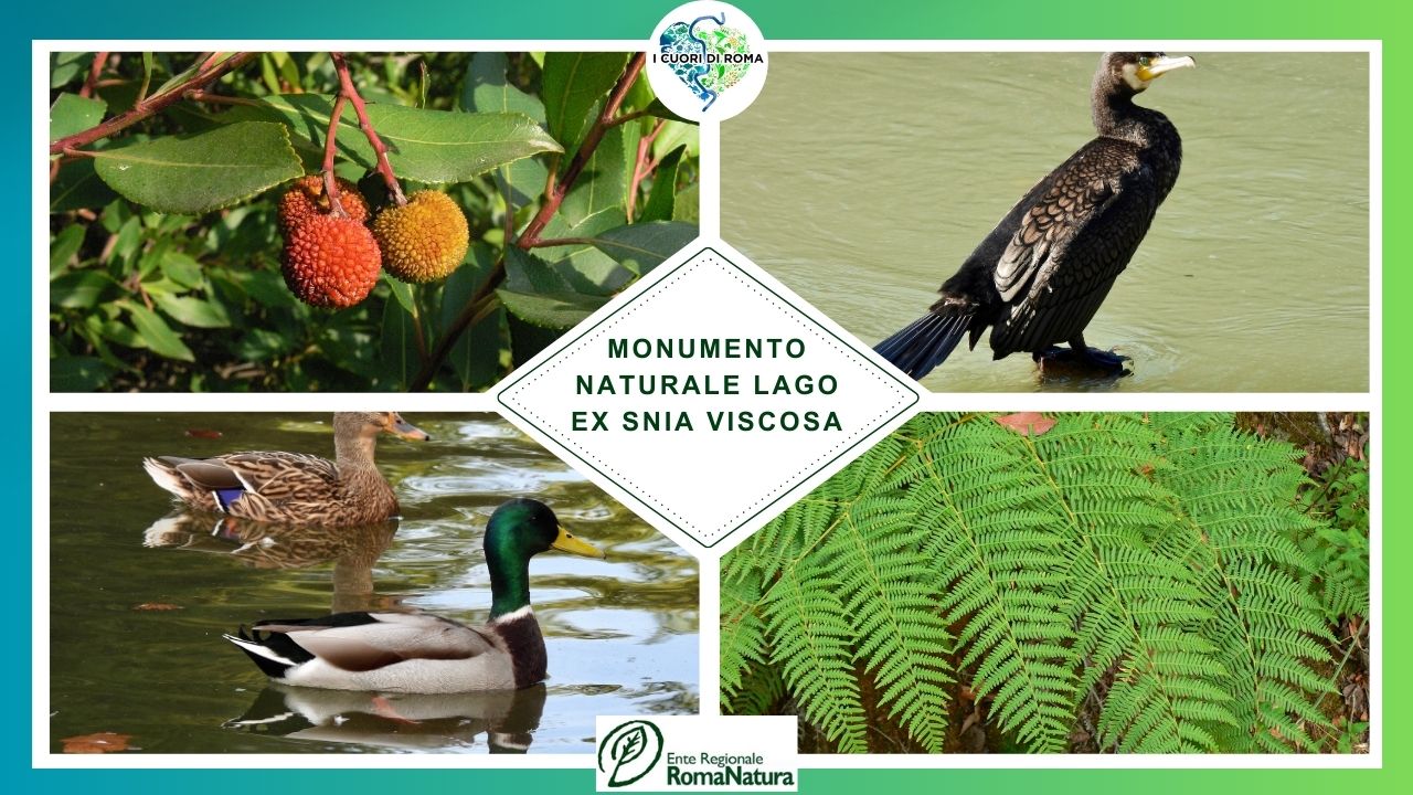 Monumento Naturale Lago ex Snia Viscosa