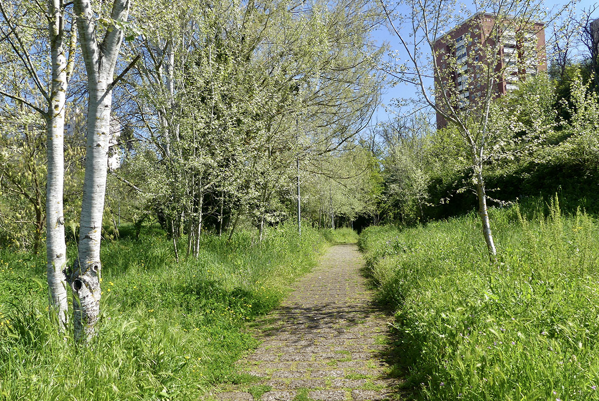 Riserva-Naturale-del-Laurentino-Acqua-Acetosa-Caratteristiche-1
