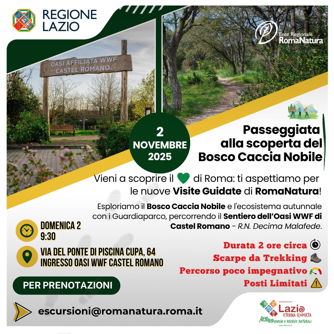 Visita Guidata al Bosco Caccia Nobile – R. N. Decima Malafede-2-novembre-2025