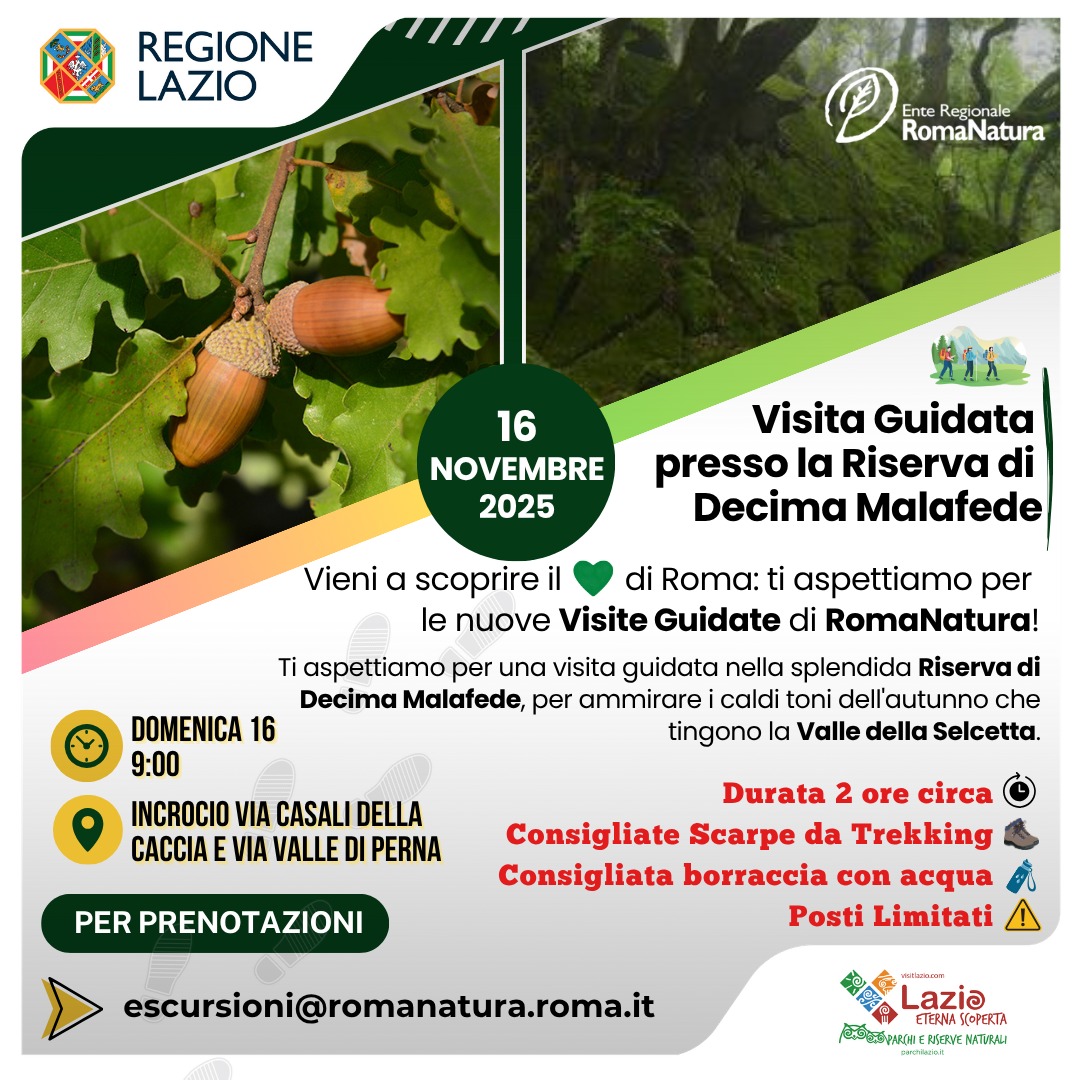 visita guidata decima malafede 15-16 novembre