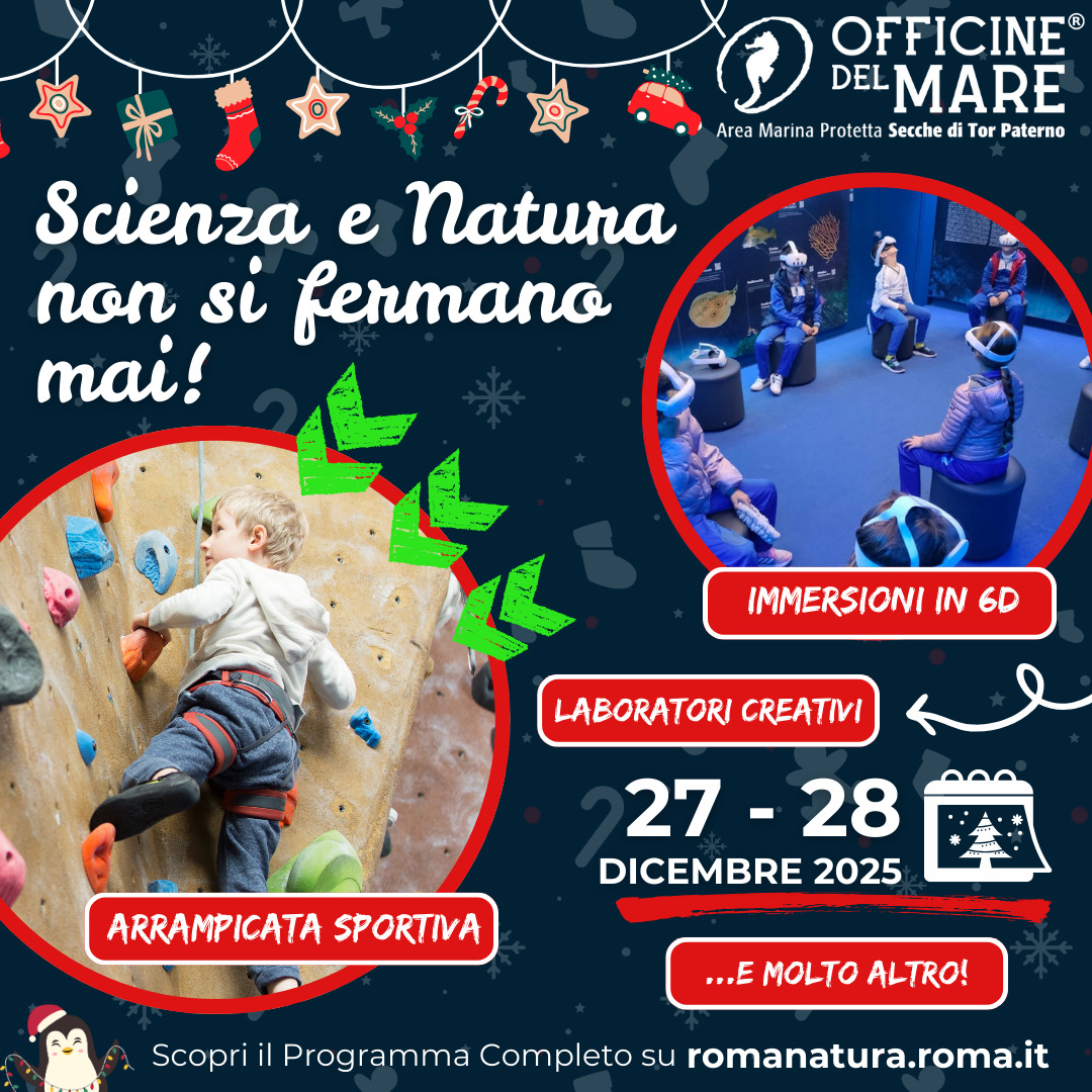 officine del mare eventi 27-28 dicembre