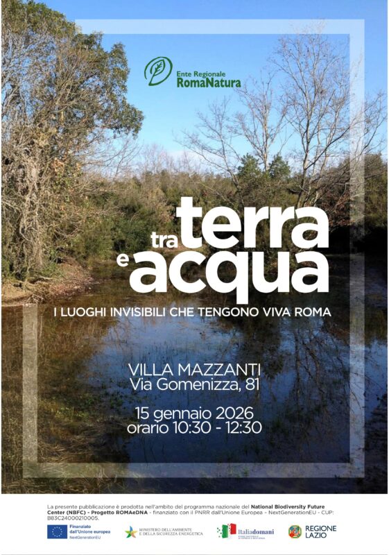workshop tra terra e acqua