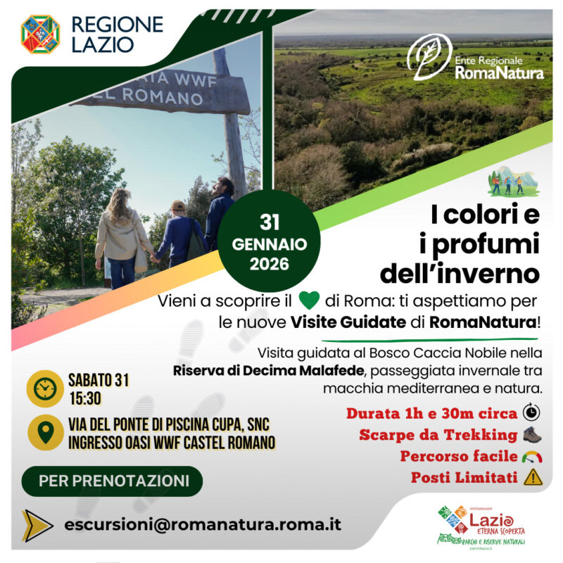 visita-guidata-passeggiata-al-bosco-caccia-nobile-31-gennaio-2026