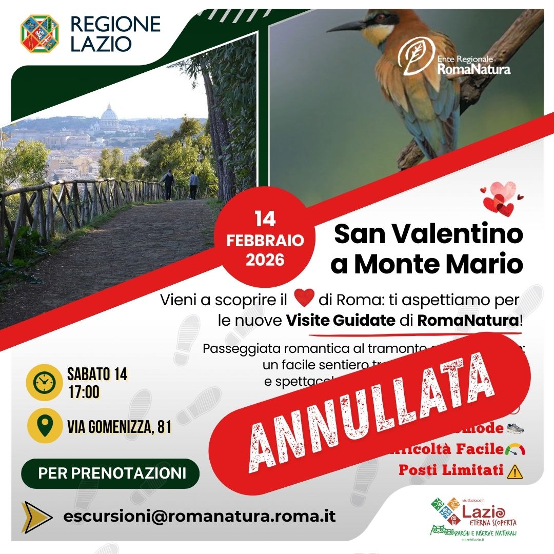 SAN VALENTINO annullata