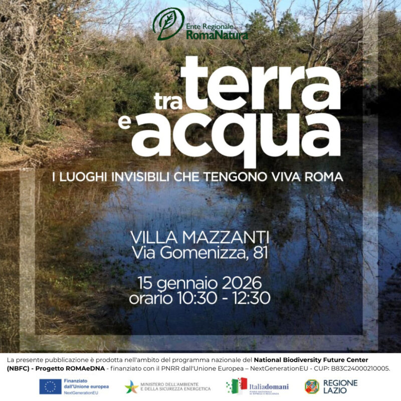 Workshop-Tra Terra e Acqua-romanatura-15-gennaio-2026-2