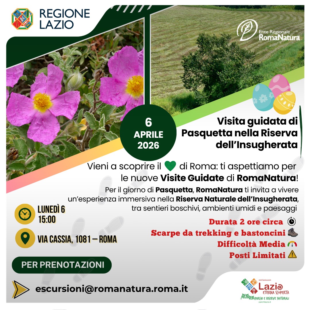 Visita guidata di Pasquetta 6 aprile 2026-insugherata-romanatura